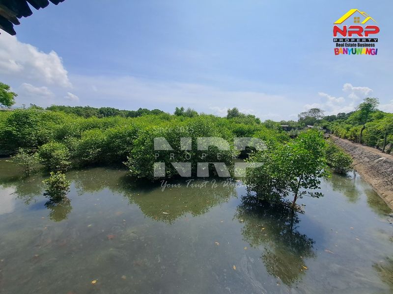 Dijual tambak  Murah di kabupaten banyuwangi, Jawa Timur - 5