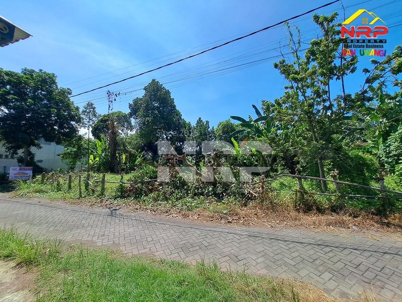 Dijual Tanah Kavling di kebalenan banyuwangi, Jawa Timur - 2