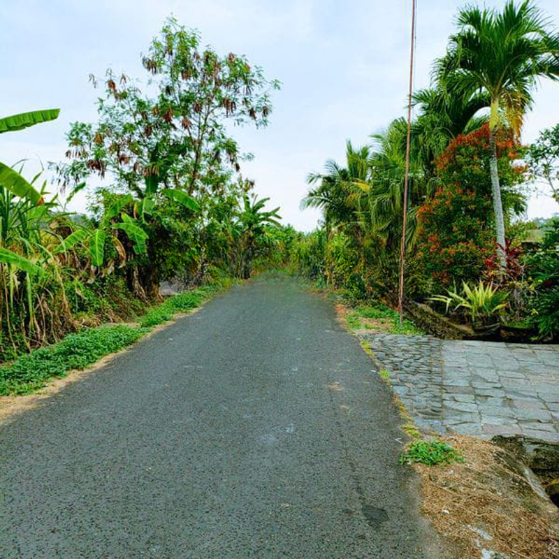 Jual Tanah Hadap Timur 8 Are Bimasena Beraban Tabanan - 3