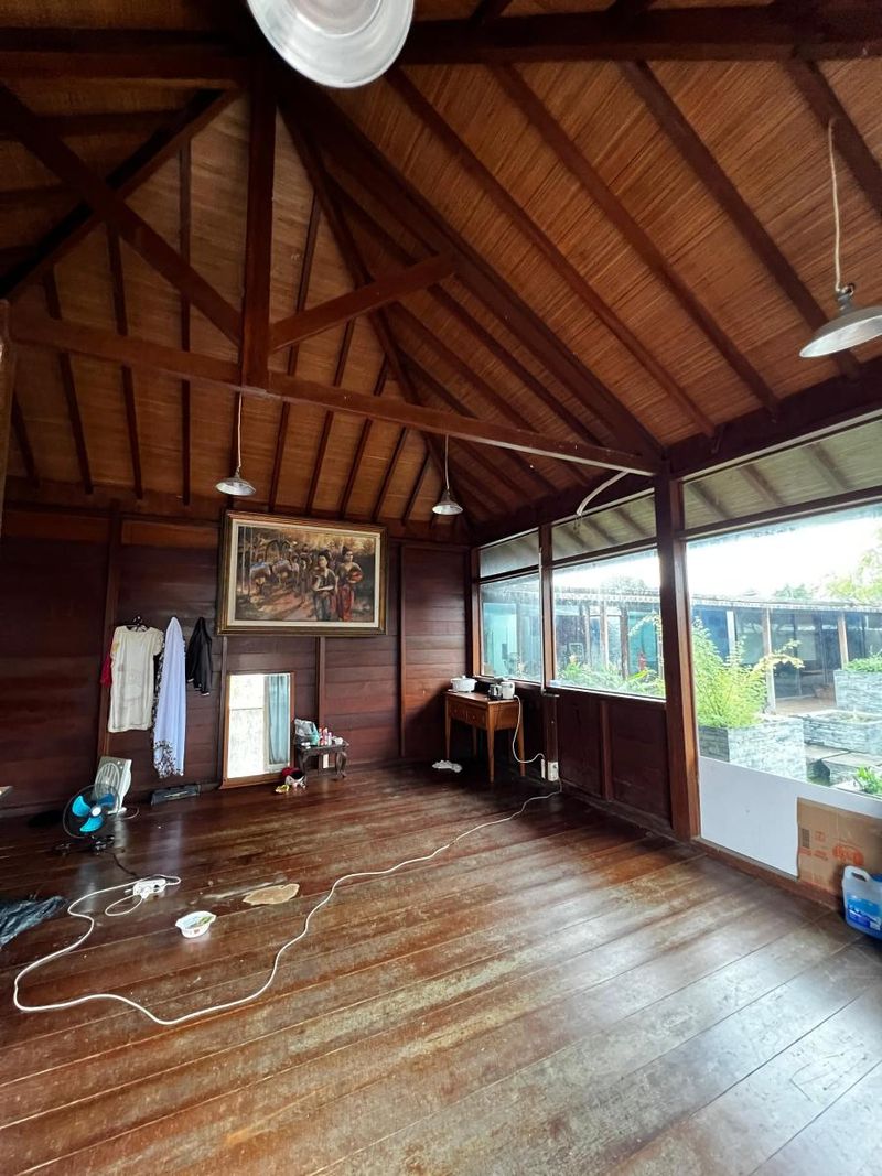 Sewa Rumah Besar Pet Friendly 4 Kamar Tukad Batanghari Denpasar Selatan - 3