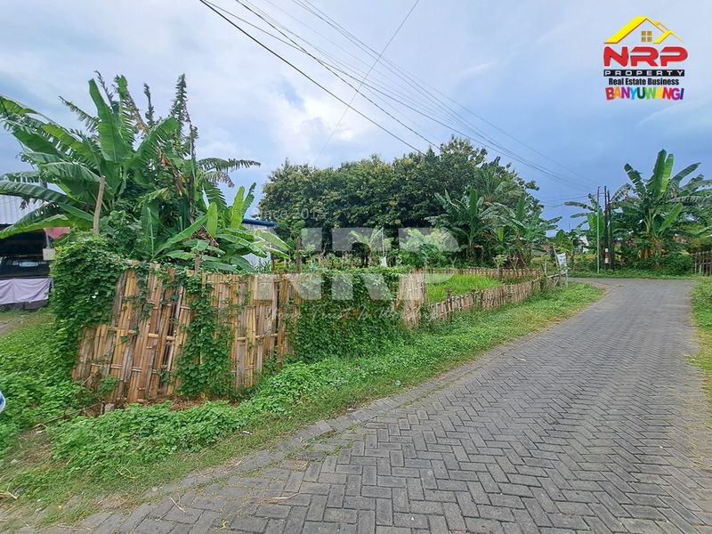 Dijual Tanah Kavling strategis depan perum  di kabupaten banyuwangi, Jawa Timur - 2