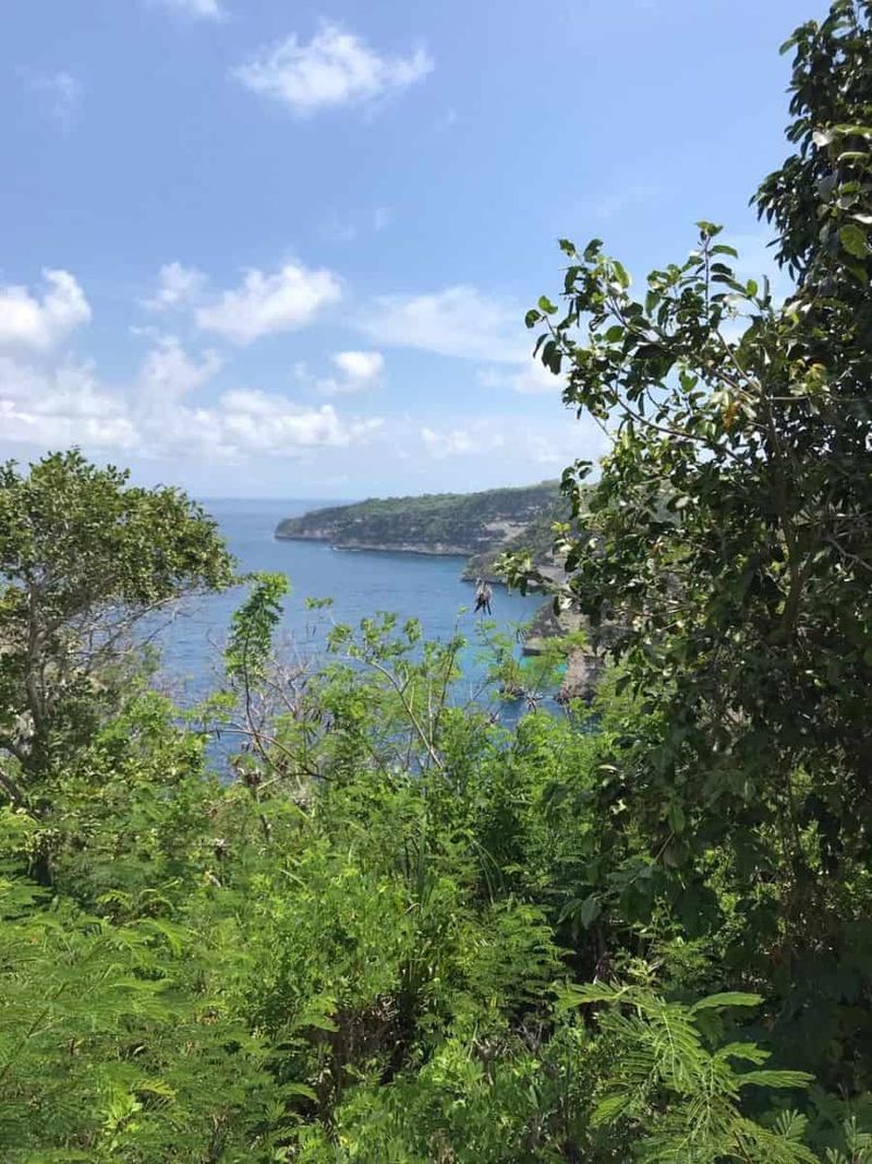 Investasi Tanah 250 Are Dekat Atuh Diamond Beach Nusa Penida Pejukutan Klungkung - 2