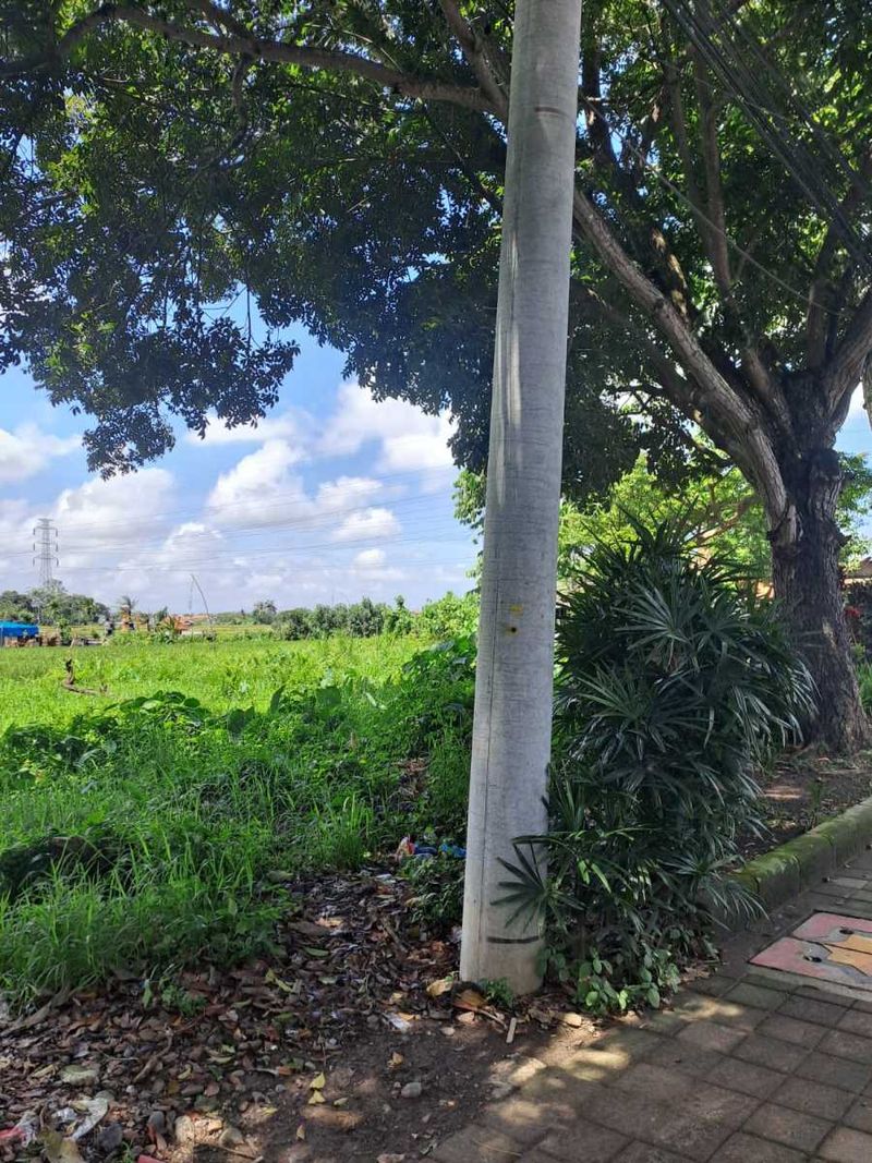 image-0