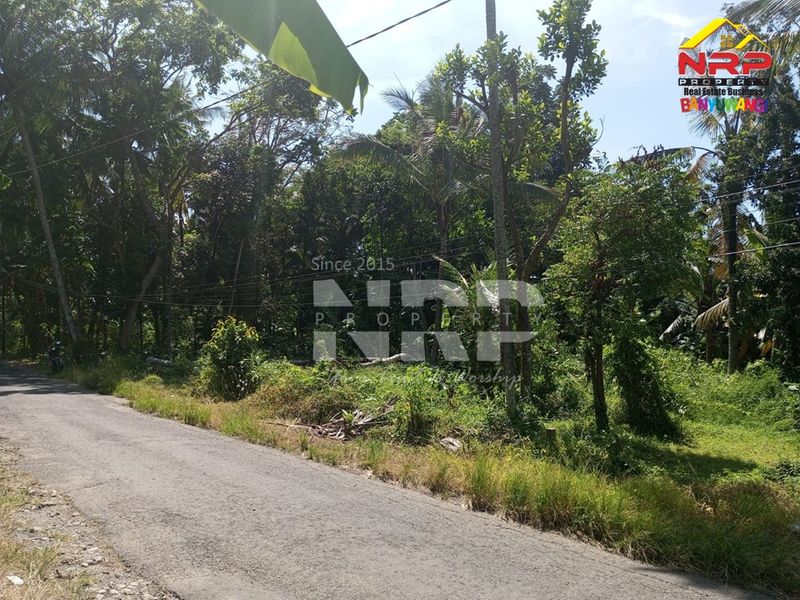 Dijual Tanah Murah di Kebalenan banyuwangi, Jawa Timur - 2