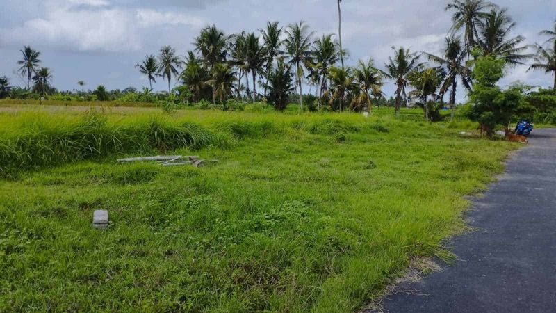 Investasi Tanah Sawah 19 Are Angantaka Abiansemal Badung - 5