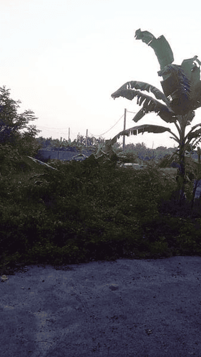 Jual Tanah Kavling 107m2 Siap Bangun Keramas Gianyar - 4