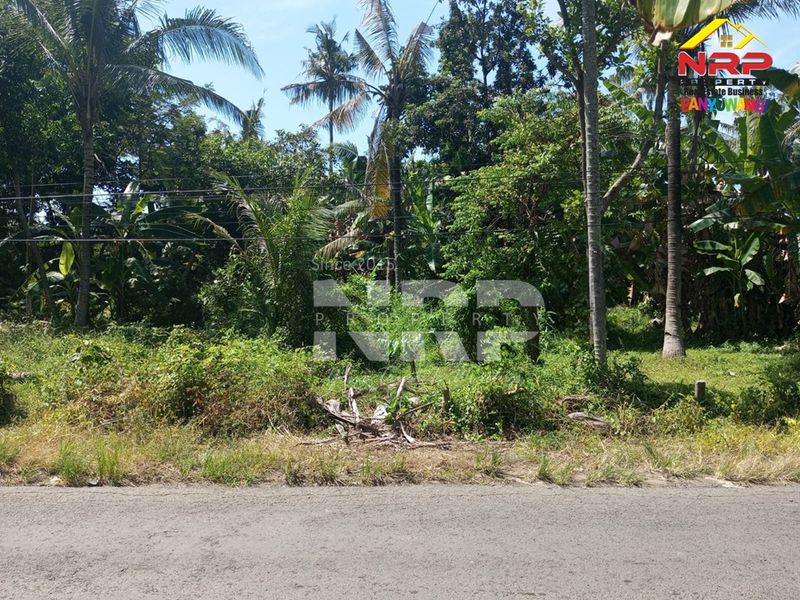 Dijual Tanah Murah di Kebalenan banyuwangi, Jawa Timur - 4