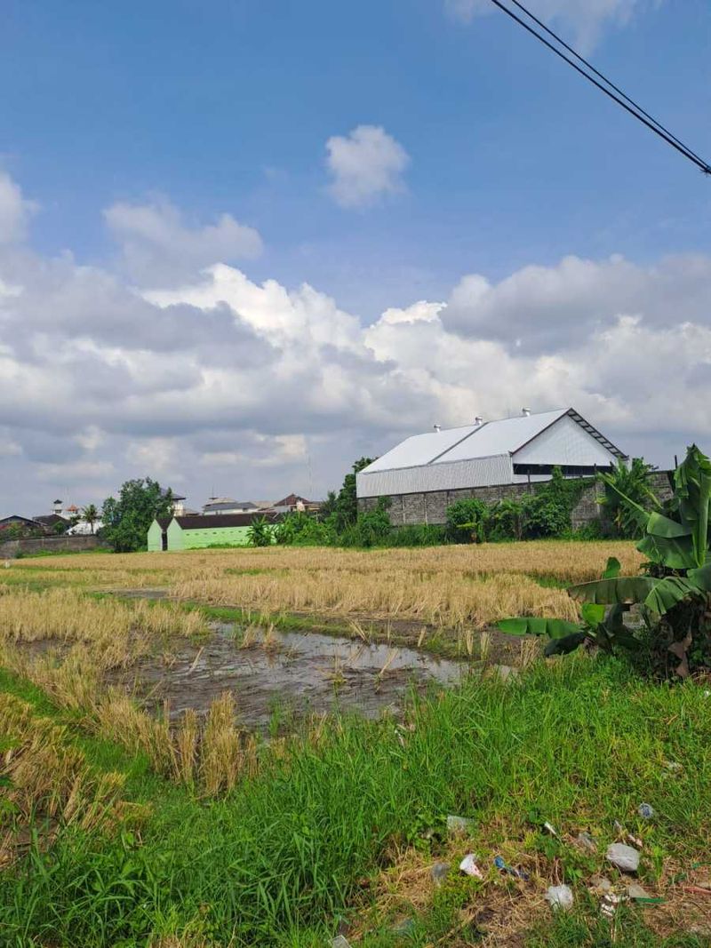 Jual Tanah 98 Are Mengwi Badung - 5