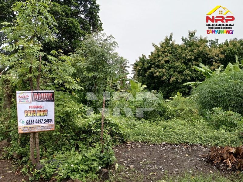 Dijual Tanah Murah di dalam perumahan  di kabupaten banyuwangi, Jawa Timur - 3