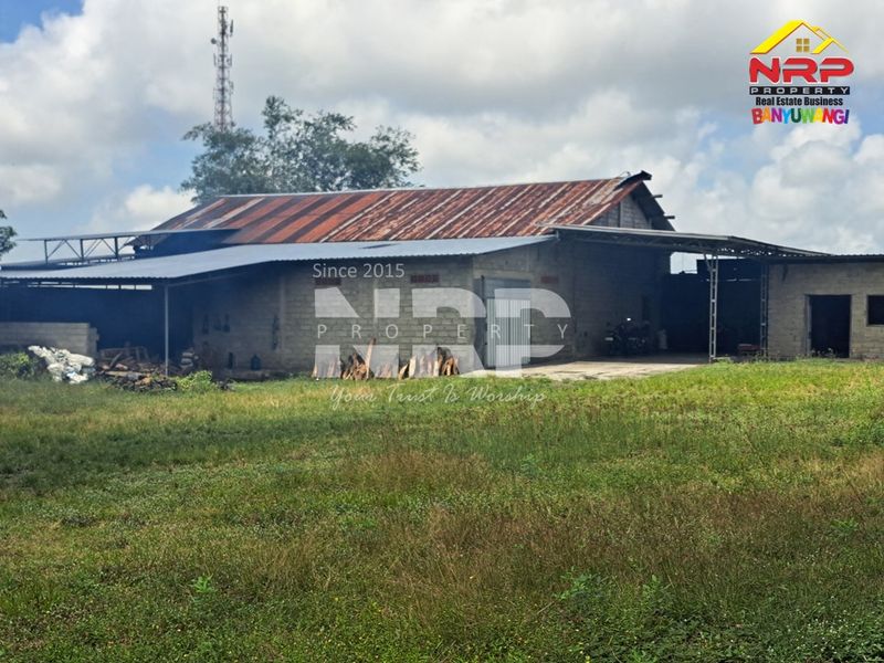 Dijual Tanah luas dan besar  di kabupaten banyuwangi, Jawa Timur rogojampi mangir - 4