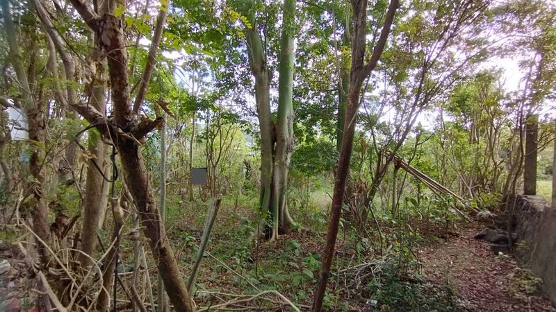 Kontrak Min 10 Tahun Tanah Hadap Utara 8 Are Jalan Jepun Jimbaran - 2