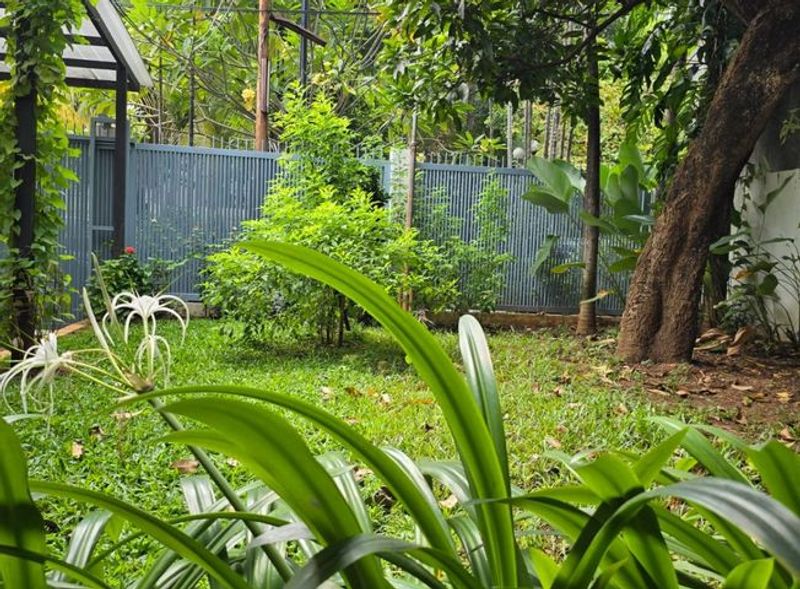 Rumah Bagus Terawat Siap Huni Di Sriwijaya Selong Kebayoran Baru Jakarta Selatan - 3