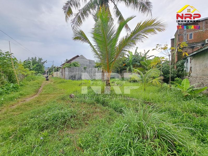 Dijual Tanah Kavling di kabupaten banyuwangi, Jawa Timur ketapang - 2