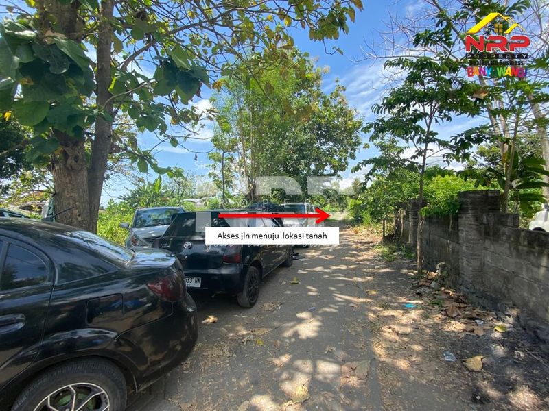 Dijual Tanah Murah Siap Bangun di Kebalenan - Banyuwangi Kota - 4