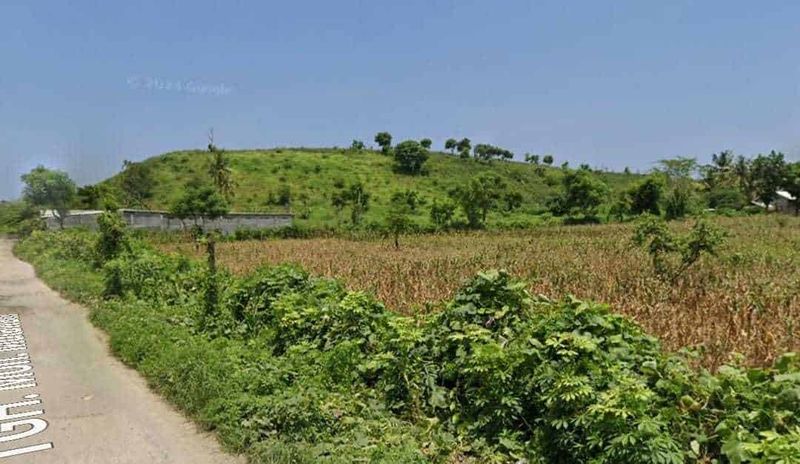 Jual Tanah 204 Are Ekas Jerowaru Lombok Timur Nusa Tenggara Barat - 3