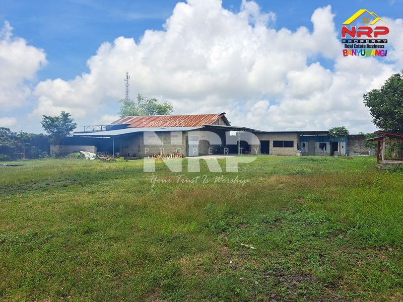 Dijual Tanah luas dan besar  di kabupaten banyuwangi, Jawa Timur rogojampi mangir - 5