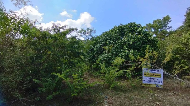 Kontrak Min 10 Tahun Tanah 4 Are di Ungasan: Pilihan Terbaik untuk Investasi Anda - 2