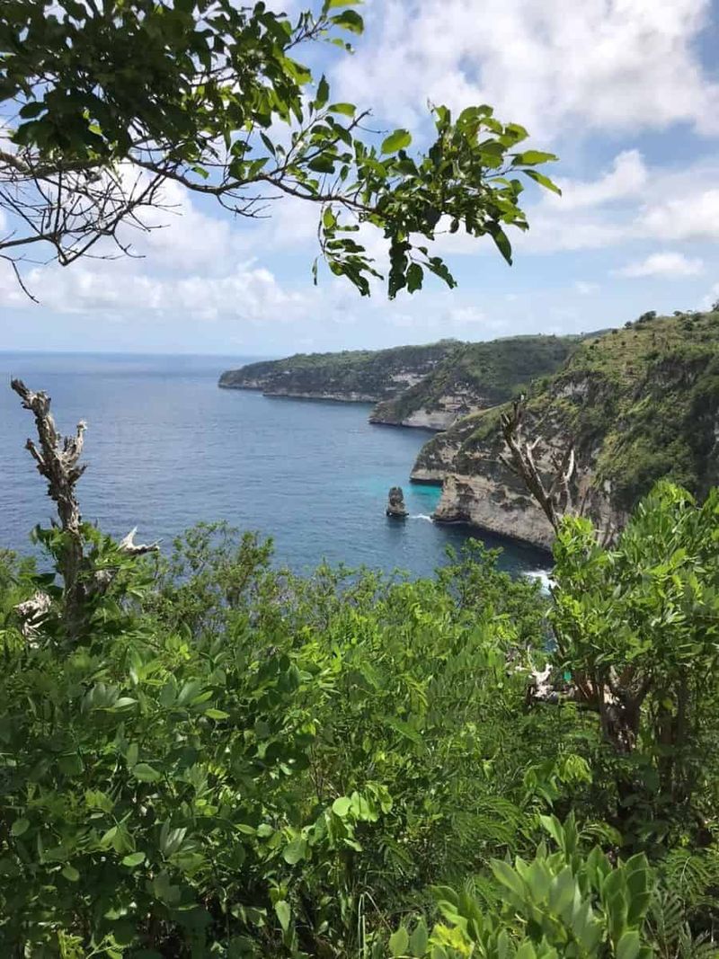Investasi Tanah 250 Are Dekat Atuh Diamond Beach Nusa Penida Pejukutan Klungkung - 3