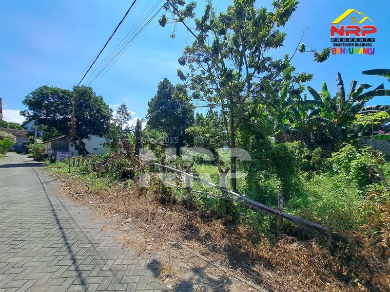 Dijual Tanah Kavling di kebalenan banyuwangi, Jawa Timur - 4