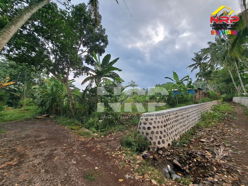 Dijual Tanah sawah  Murah di giri banyuwangi, Jawa Timur - 2