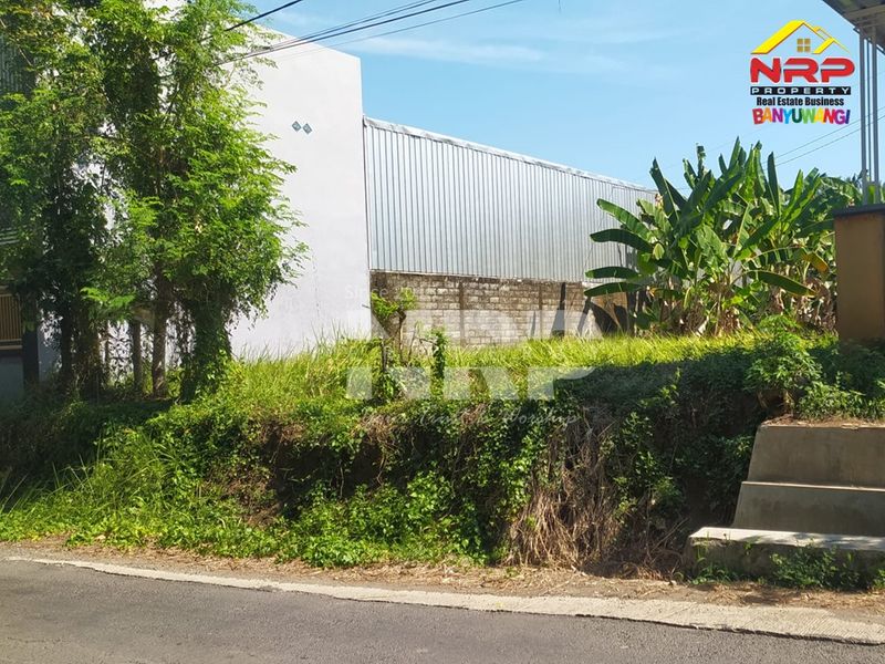 Dijual Tanah pinggir jalan utama pendarungan kabat  di kabupaten banyuwangi, Jawa Timur - 3