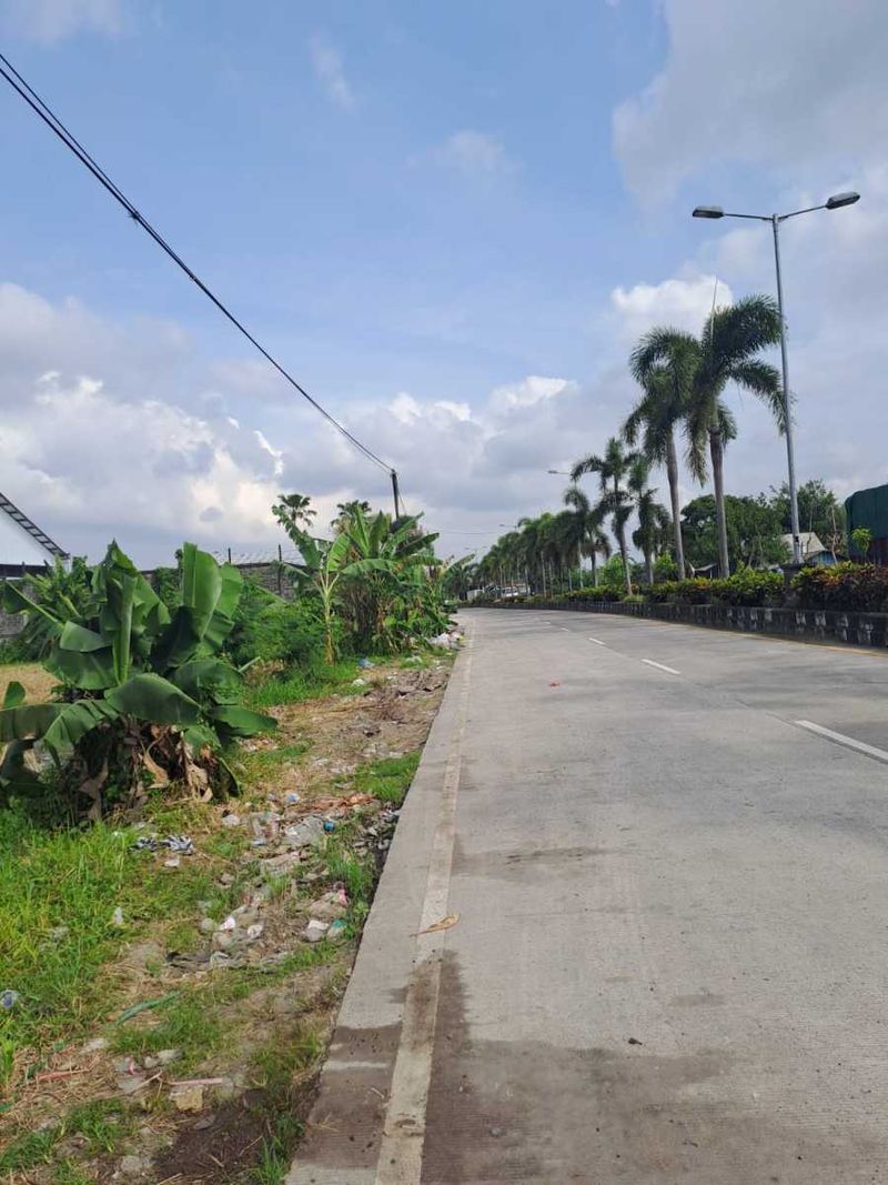 Jual Tanah 98 Are Mengwi Badung - 2