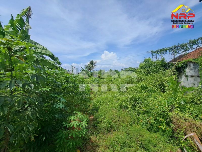 Dijual Tanah pusat kota di kabupaten banyuwangi, Jawa Timur - 4
