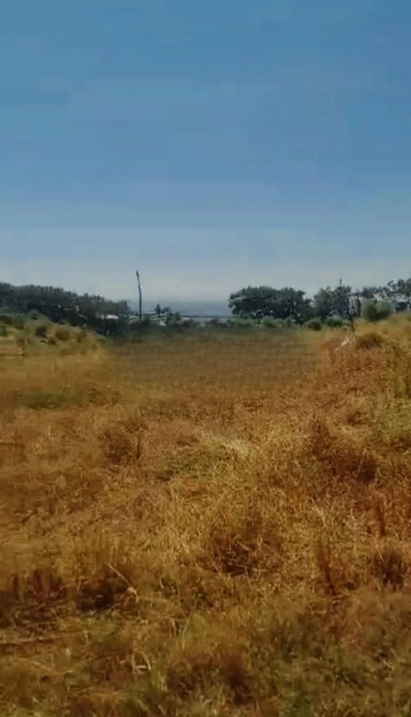 Jual Tanah 7 Hektar View Laut Loloan Bayan Lombok Utara Nusa Tenggara Barat - 2