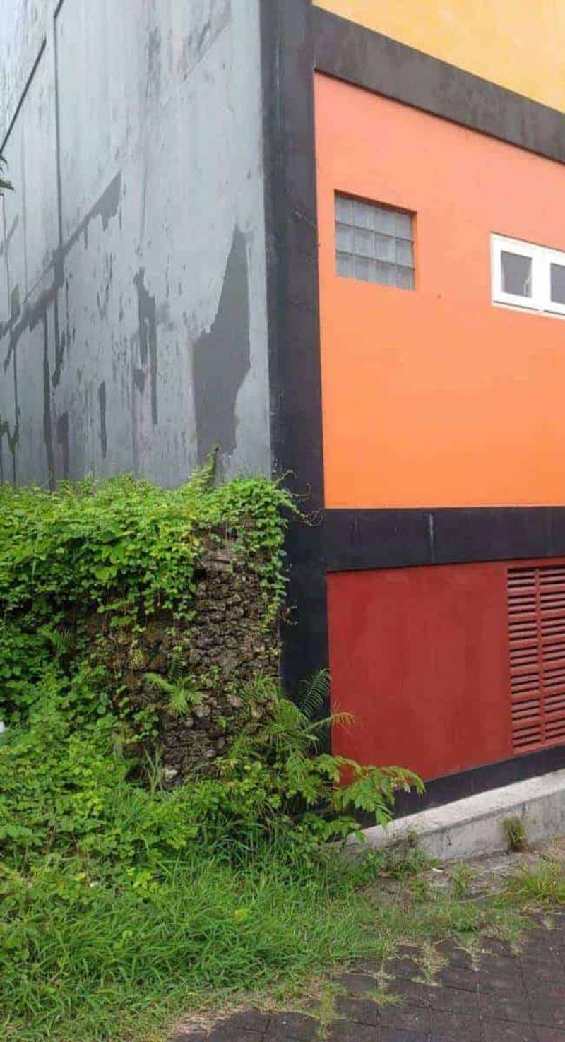 Investasi Tanah 1350m2 Siligita Benoa Kuta Selatan Badung - 2