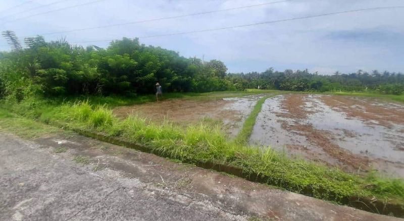 Investasi Tanah Lahan Pemukiman 1,06 Hektar View Sawah Gunung Dekat Tol Lingkar Soka Mengwi Selemadeg Tabanan - 3