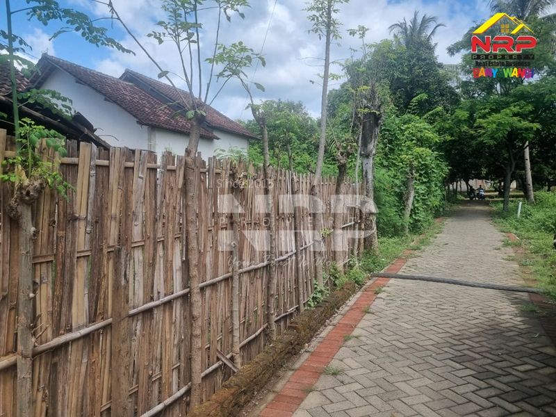 Dijual Tanah Murah di Bajulmati wongsorejo banyuwangi, Jawa Timur - 4