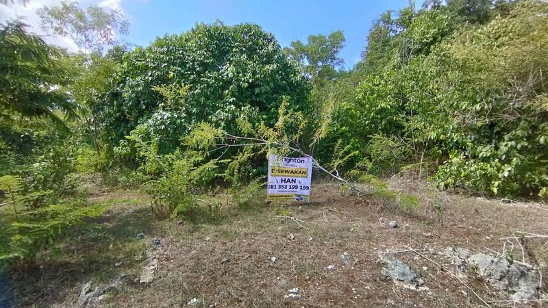 Kontrak Min 10 Tahun Tanah 4 Are di Ungasan: Pilihan Terbaik untuk Investasi Anda - 4