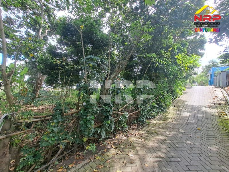 Dijual Tanah Murah di kabupaten banyuwangi kebalenan, Jawa Timur - 4