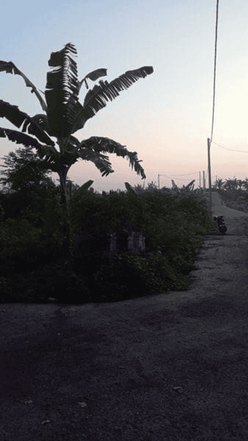 Jual Tanah Kavling 107m2 Siap Bangun Keramas Gianyar - 2
