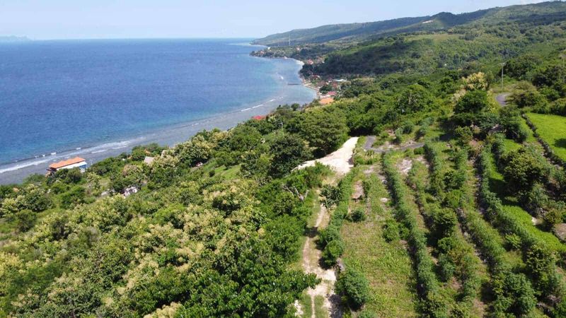 Investasi Tanah 5760m2 Batununggul Nusa Penida Klungkung View Laut - 4