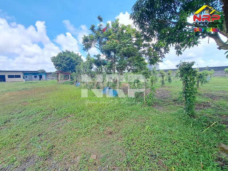 Dijual Tanah luas dan besar  di kabupaten banyuwangi, Jawa Timur rogojampi mangir - 3