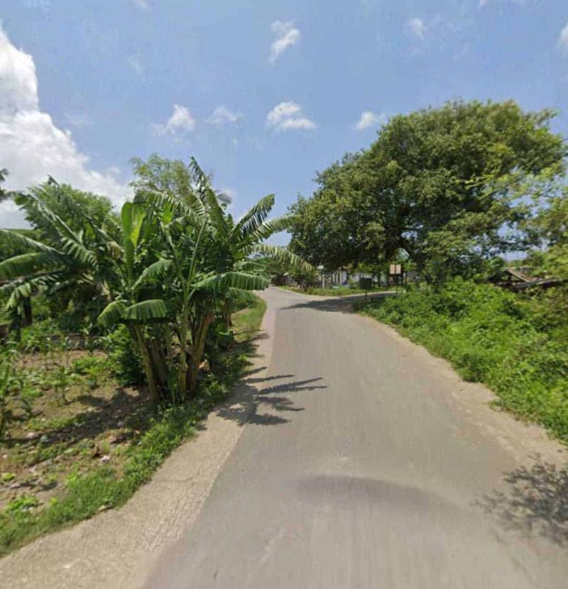 Jual Tanah 204 Are Ekas Jerowaru Lombok Timur Nusa Tenggara Barat - 5