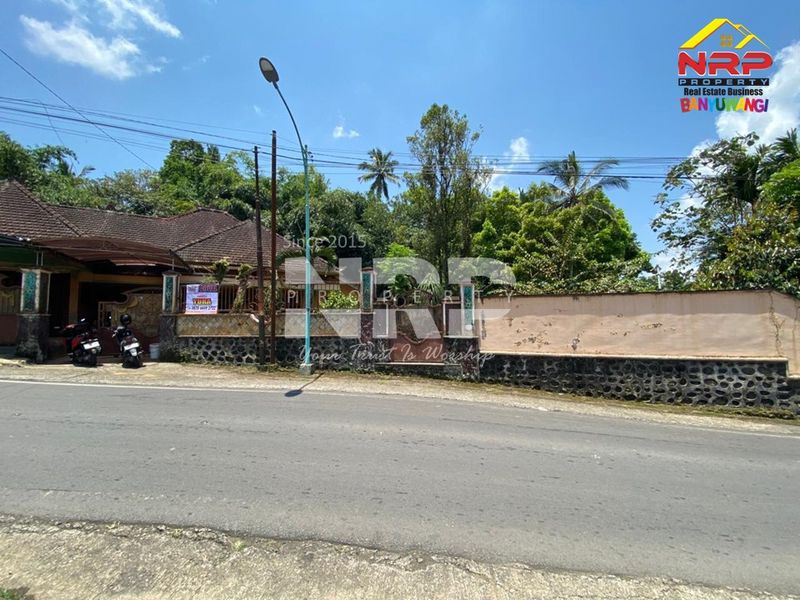 Dijual Rumah Luas View Sungai di Licin - Kawah Ijen Banyuwangi - 2