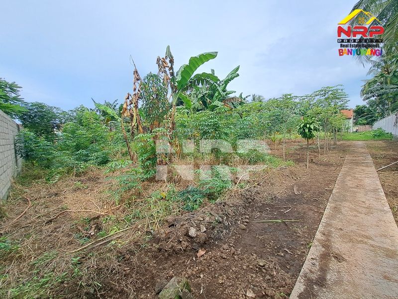 Dijual Tanah Kavling sHM di kabupaten banyuwangi, Jawa Timur - 3