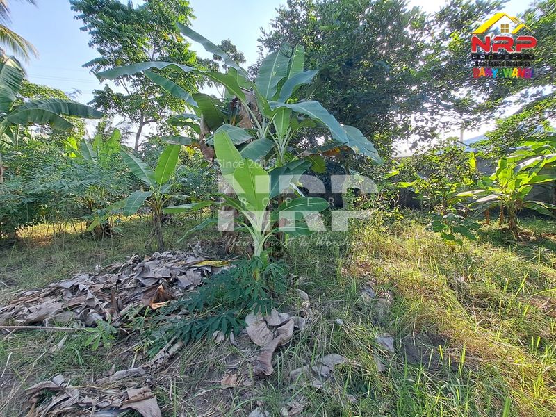  Dijual Tanah Kosong di kabupaten banyuwangi, Jawa Timur - 4