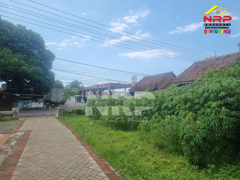 Dijual Tanah Murah di Bajulmati wongsorejo banyuwangi, Jawa Timur - 3