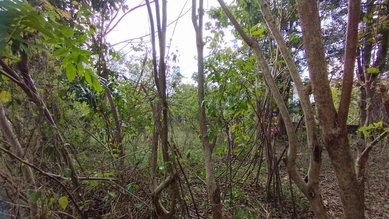 Kontrak Min 10 Tahun Tanah Hadap Utara 8 Are Jalan Jepun Jimbaran - 4