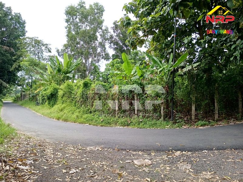 Dijual Tanah dekat samsat  di kabupaten banyuwangi, Jawa Timur - 4