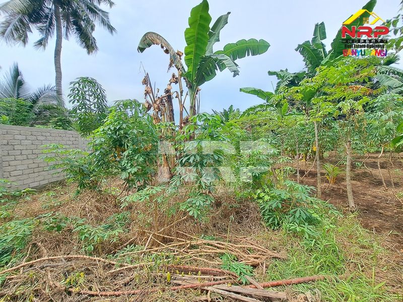 Dijual Tanah Kavling sHM di kabupaten banyuwangi, Jawa Timur - 4
