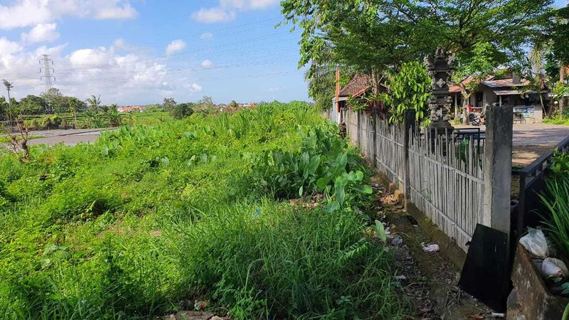 Jual Tanah 2540m2 Sempidi Badung - 5