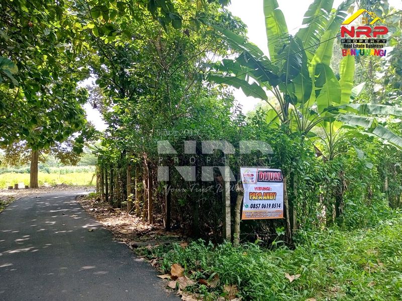 Dijual Tanah dekat samsat  di kabupaten banyuwangi, Jawa Timur - 5