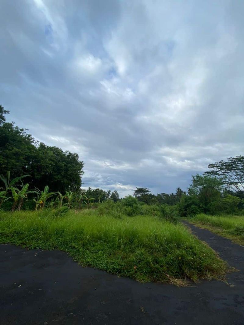 Investasi Tanah 3750m2 Panglan Kapal Mengwi Badung - 3