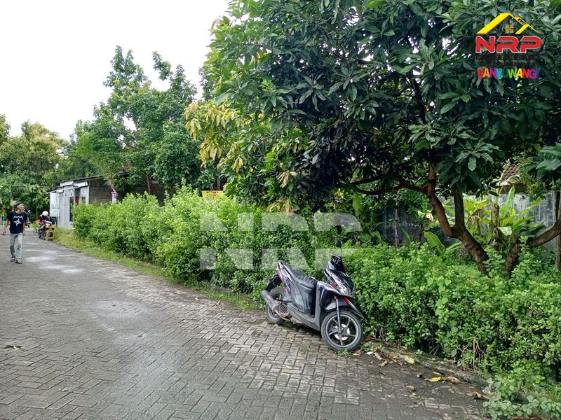  Dijual Tanah Kosong di kabupaten banyuwangi, Jawa Timur - 2
