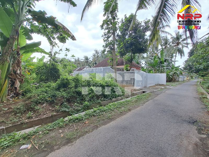 Dijual Tanah Kavling di kabupaten banyuwangi, Jawa Timur dadapan kabat - 2