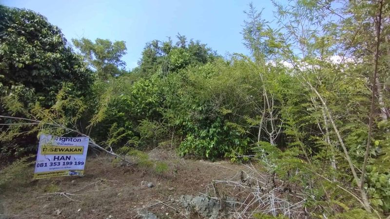 Kontrak Min 10 Tahun Tanah 4 Are di Ungasan: Pilihan Terbaik untuk Investasi Anda - 3